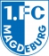 fcm-logo